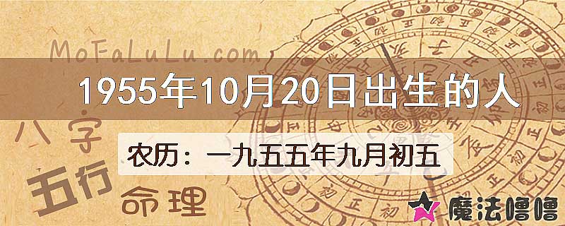 1955年10月20日出生的八字怎么样？