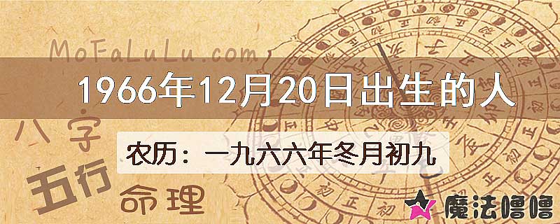 1966年12月20日出生的八字怎么样？