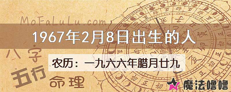 1967年2月8日出生的八字怎么样？