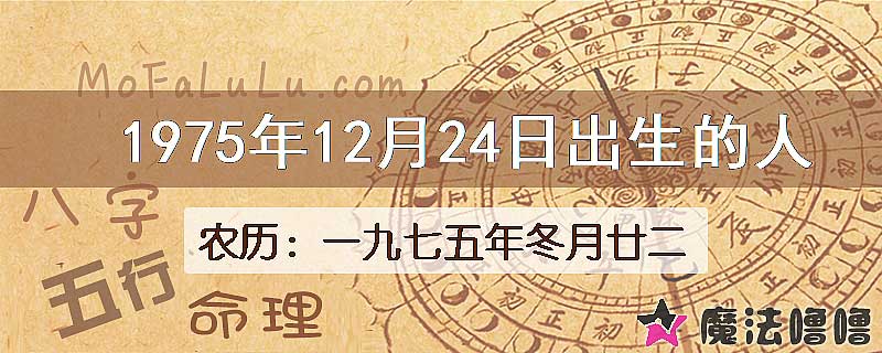 1975年12月24日出生的八字怎么样？