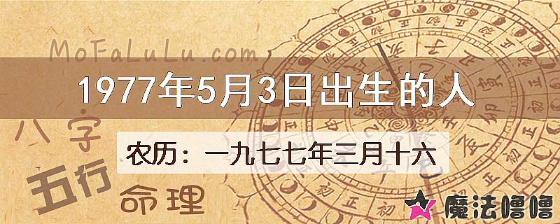 1977年5月3日出生的八字怎么样？