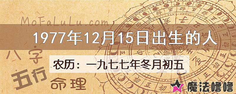 1977年12月15日出生的八字怎么样？
