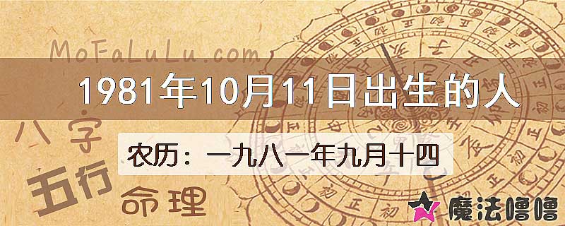 1981年10月11日出生的八字怎么样？