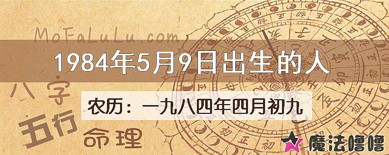 1984年5月9日出生的八字怎么样？