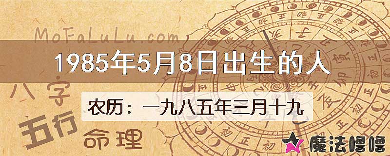 1985年5月8日出生的八字怎么样？