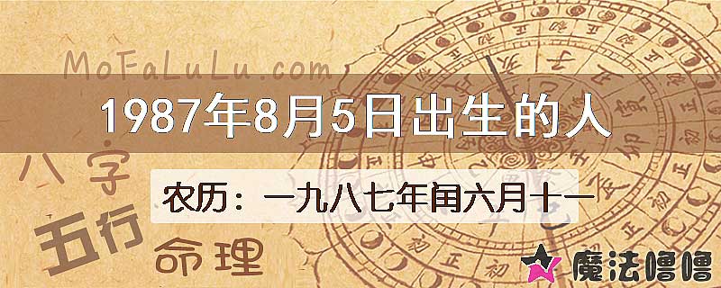 1987年8月5日出生的八字怎么样？
