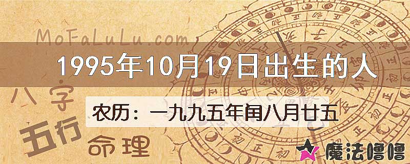 1995年10月19日出生的八字怎么样？
