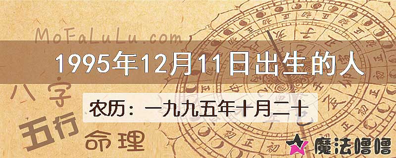 1995年12月11日出生的八字怎么样？