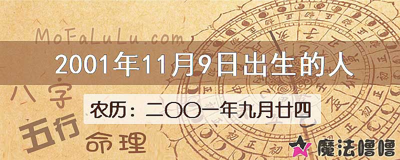 2001年11月9日出生的八字怎么样？