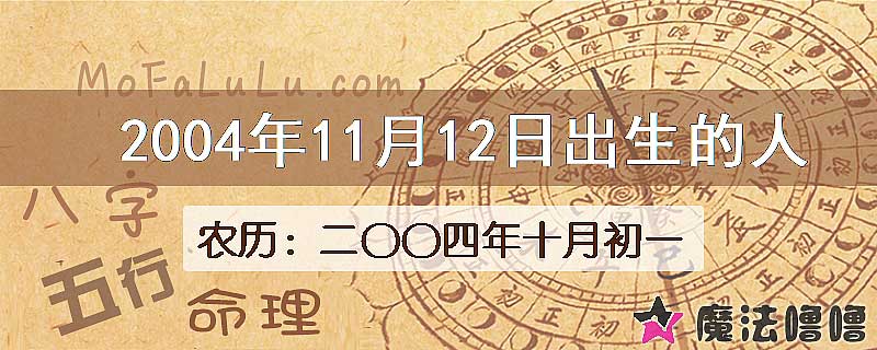 2004年11月12日出生的人