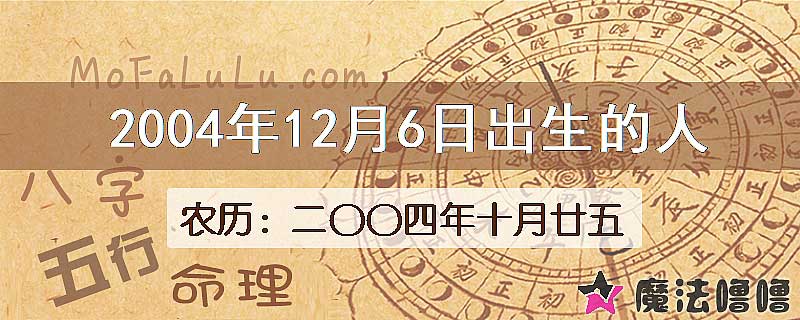 2004年12月6日出生的人