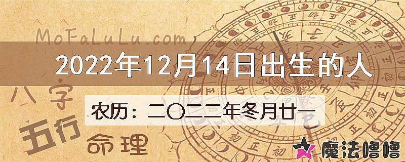 2022年12月14日出生的八字怎么样？