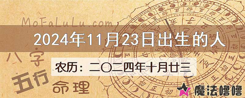2024年11月23日出生的八字怎么样？