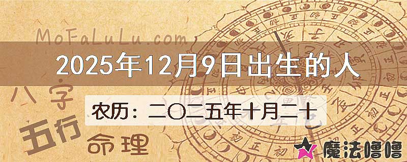 2025年12月9日出生的八字怎么样？