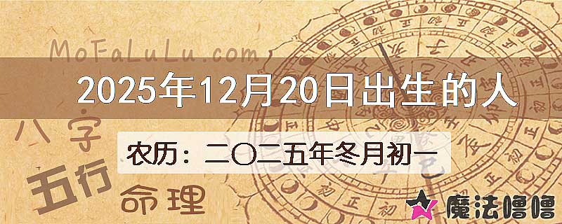 2025年12月20日出生的八字怎么样？