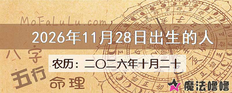 2026年11月28日出生的人