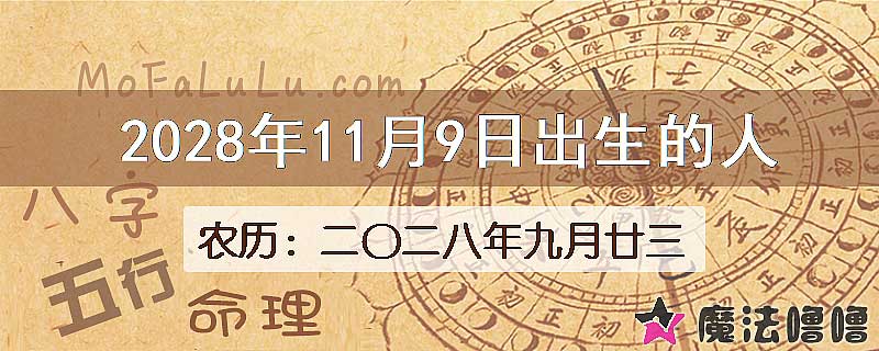 2028年11月9日出生的人