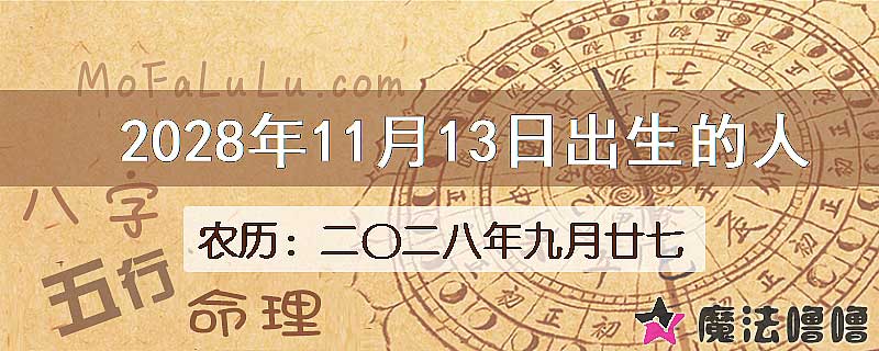 2028年11月13日出生的人