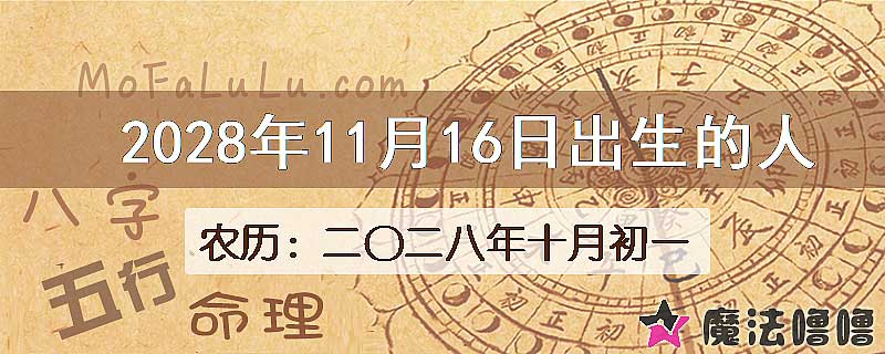 2028年11月16日出生的人