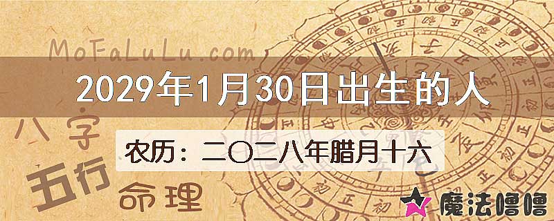 2029年1月30日出生的人