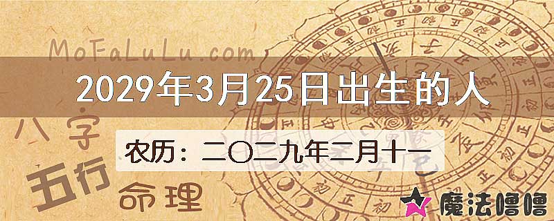 2029年3月25日出生的人