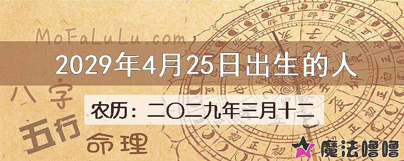 2029年4月25日出生的人