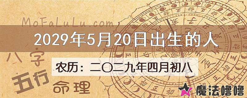 2029年5月20日出生的人