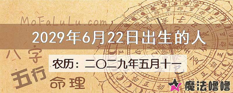 2029年6月22日出生的人
