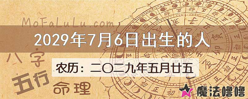 2029年7月6日出生的人