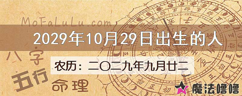 2029年10月29日出生的人