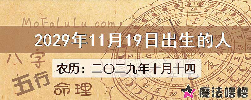 2029年11月19日出生的人
