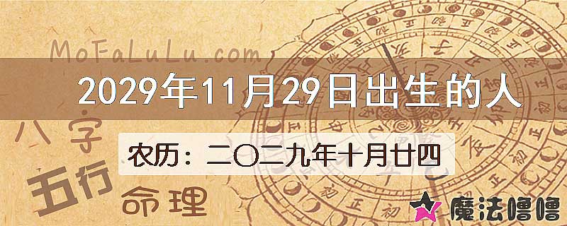 2029年11月29日出生的人