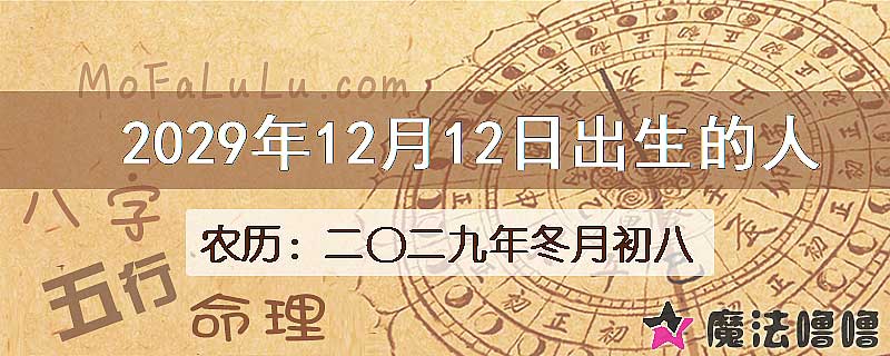 2029年12月12日出生的人