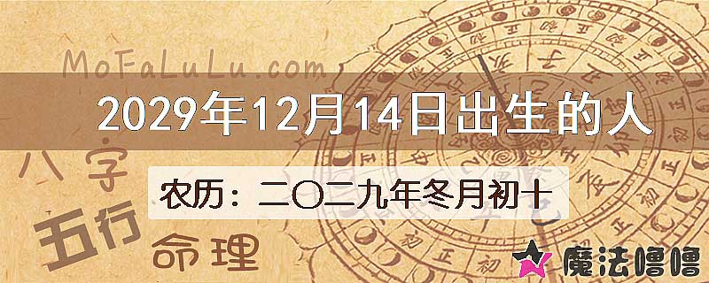 2029年12月14日出生的人