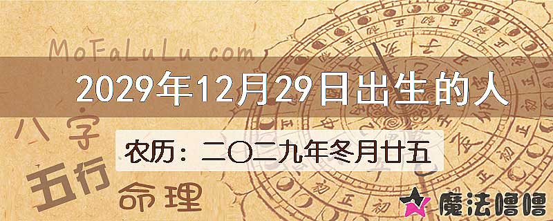 2029年12月29日出生的人