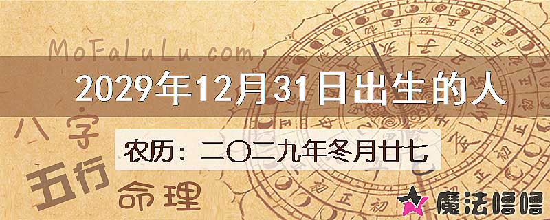 2029年12月31日出生的人