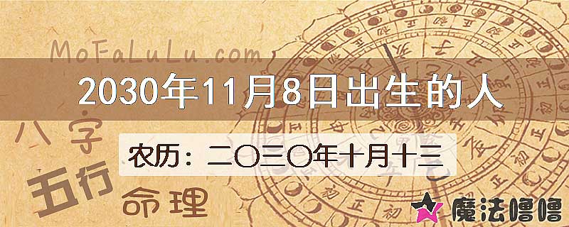 2030年11月8日出生的人