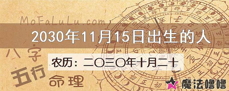 2030年11月15日出生的人