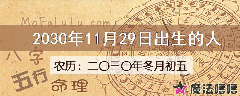 2030年11月29日出生的人
