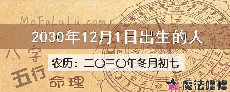 2030年12月1日出生的人