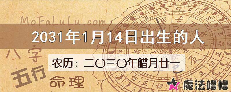 2031年1月14日出生的人