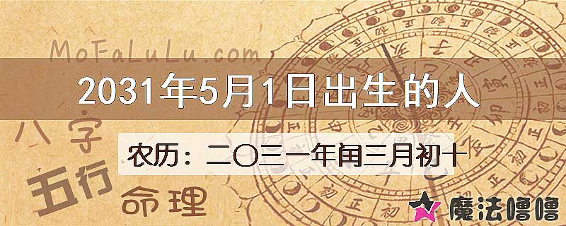 2031年5月1日出生的人