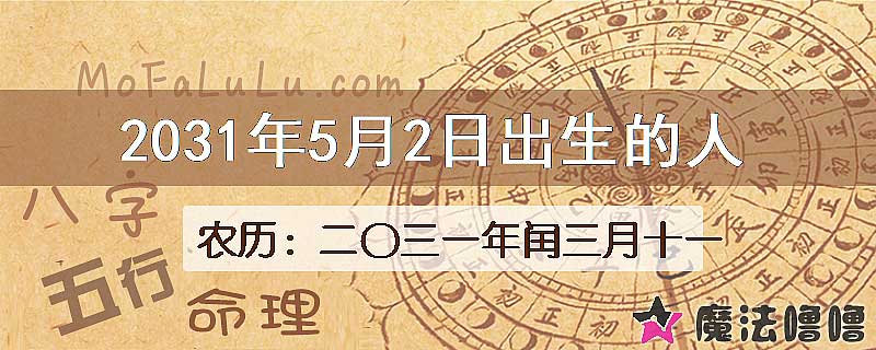 2031年5月2日出生的人