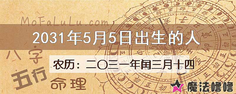 2031年5月5日出生的人