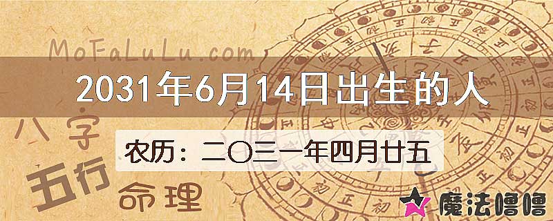 2031年6月14日出生的人