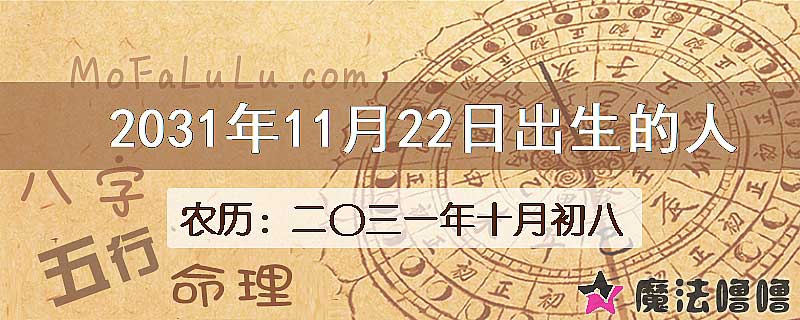 2031年11月22日出生的人