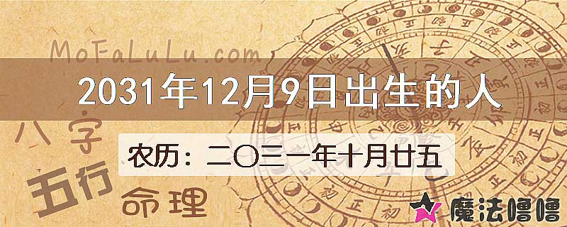 2031年12月9日出生的人