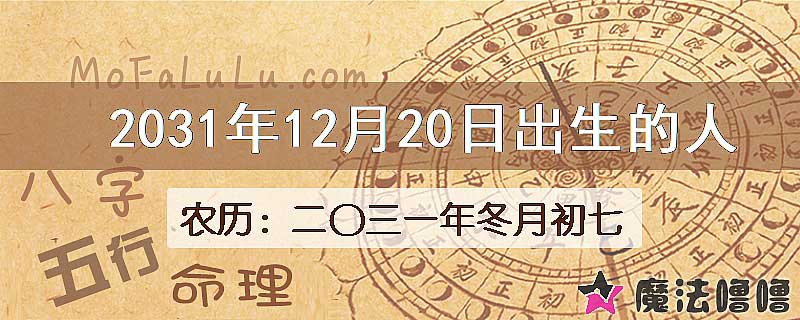 2031年12月20日出生的人