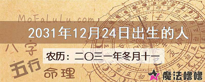 2031年12月24日出生的人