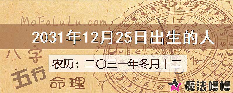 2031年12月25日出生的人
